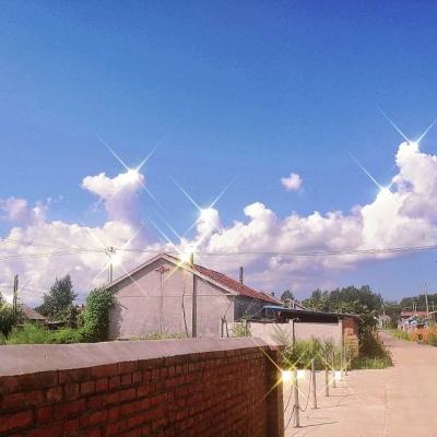 ag真人国际官网app下载